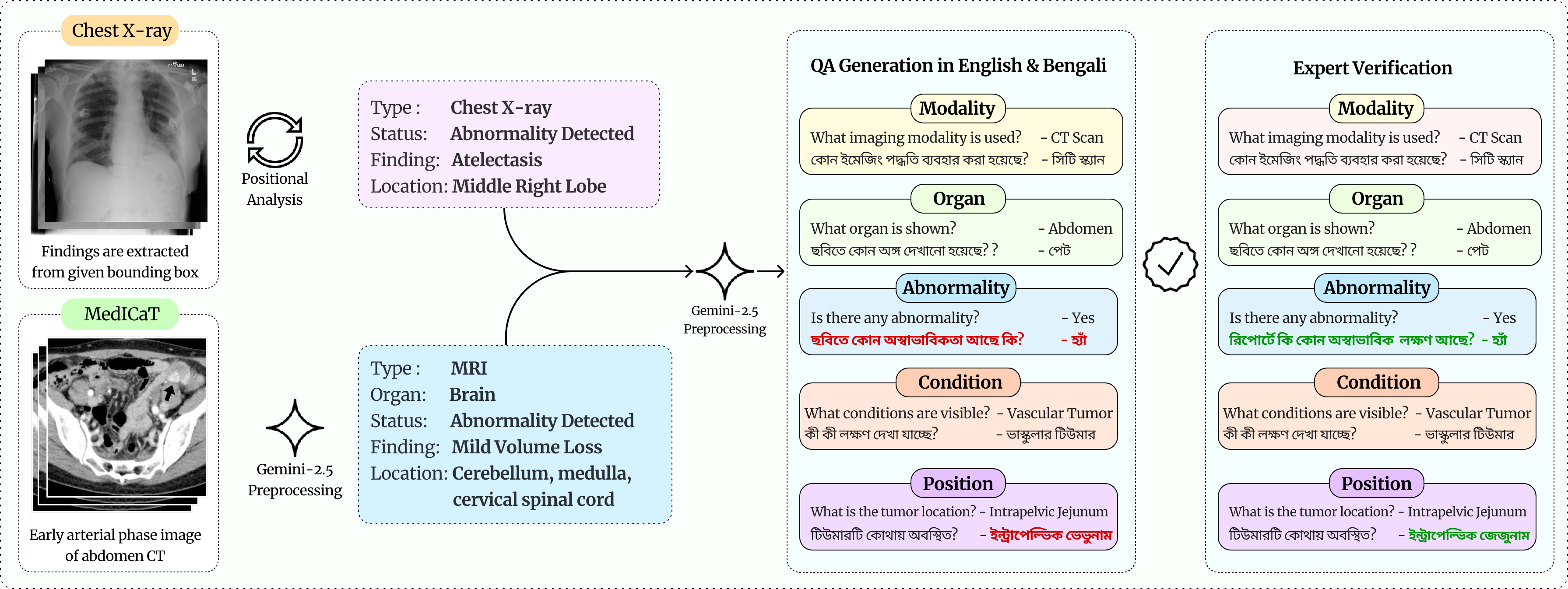 Workflow of the dataset curation process